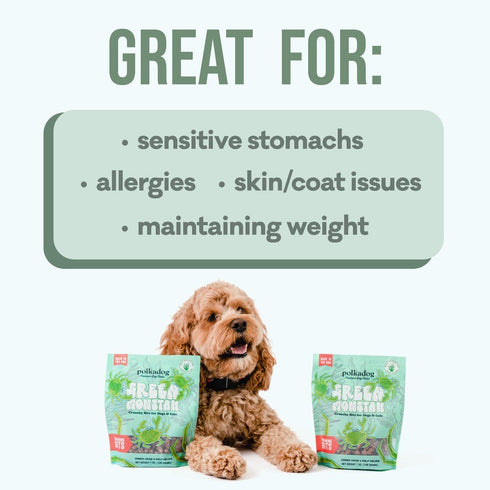 PolkaDog Green Monstah Bits Dog Treats 7 oz